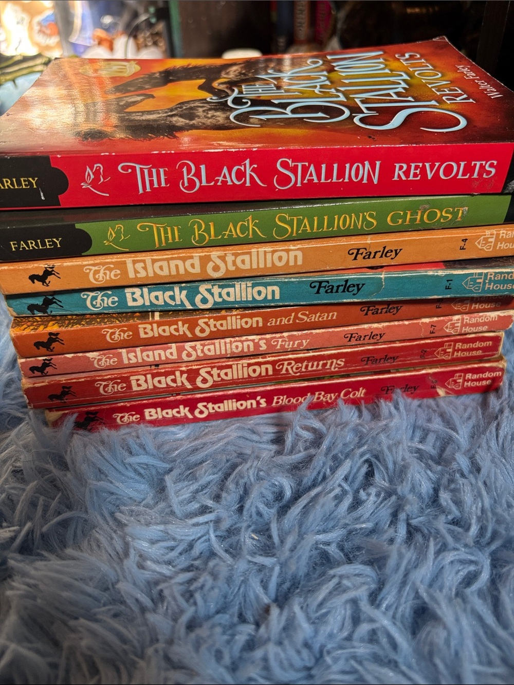 The Black Stallion Paperback Book Lot